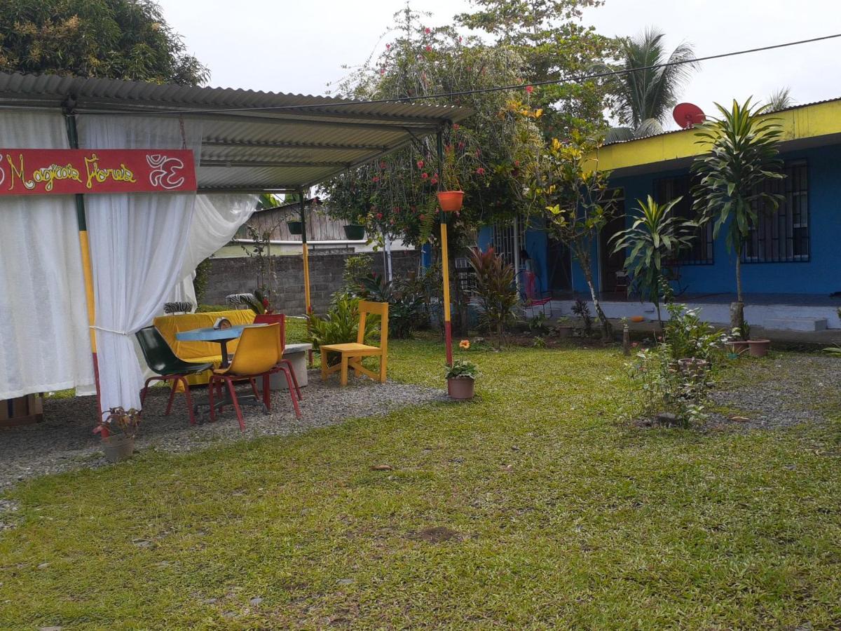 Rooms Palmeras Cahuita Zewnętrze zdjęcie