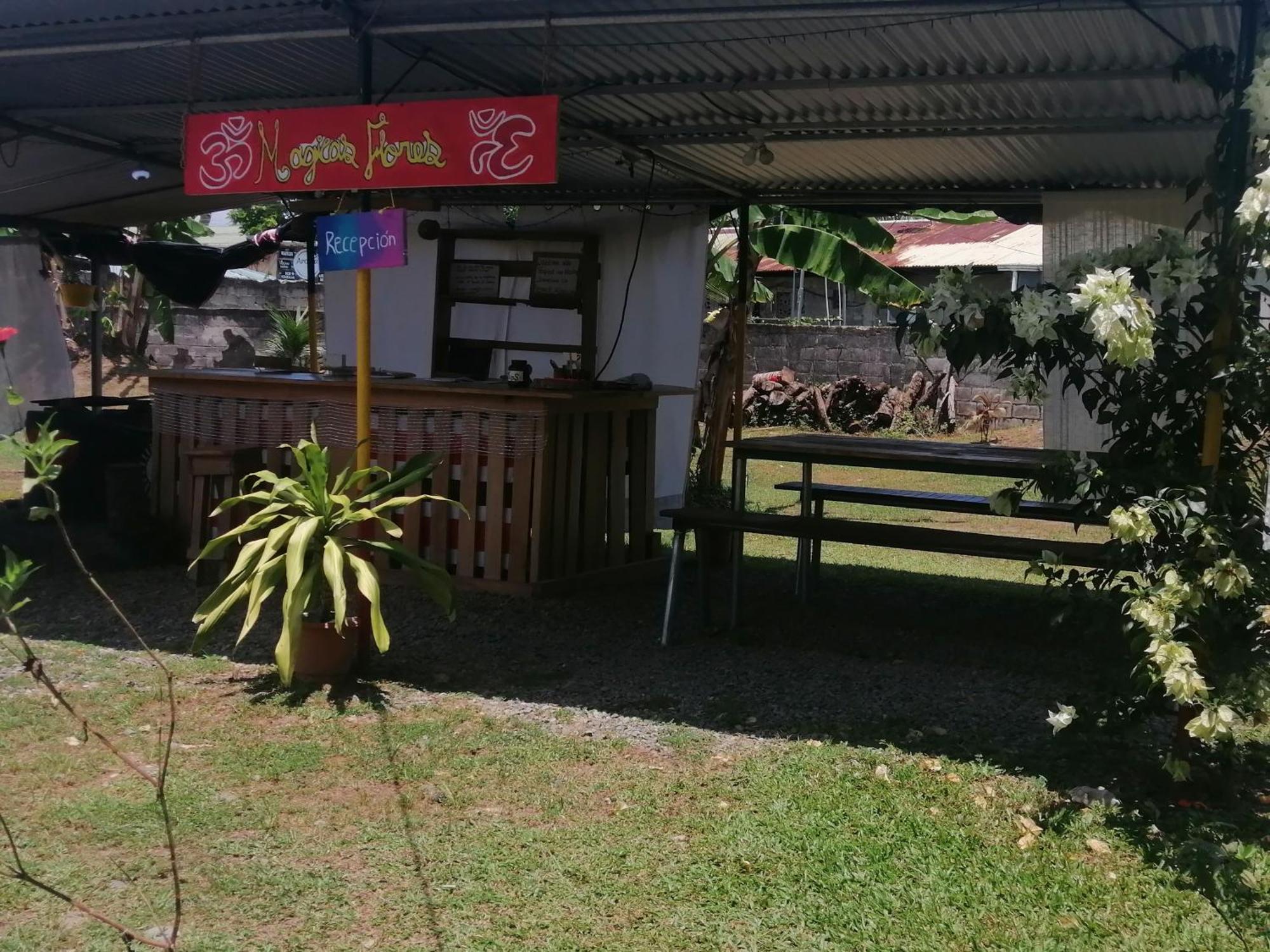Rooms Palmeras Cahuita Zewnętrze zdjęcie